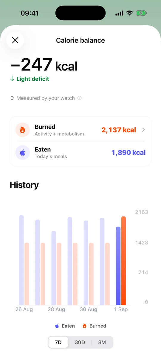 De Micron-app, scherm ‘De caloriebalans’